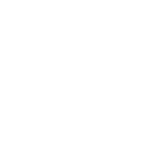 Noctura Logo